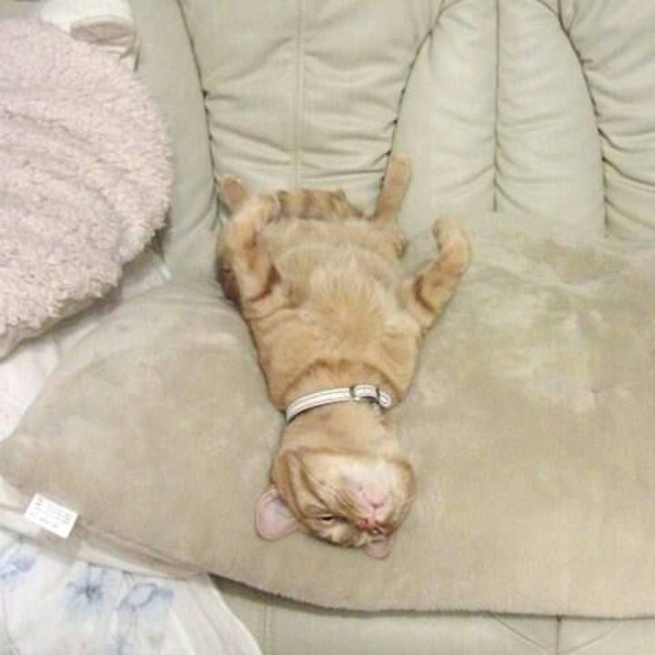 99173e74 d526 4f61 aea3 0a46aeb89b9e