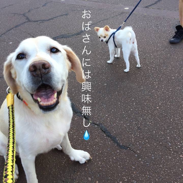 99174950 4726 4b6c a390 b0ec01c309f8