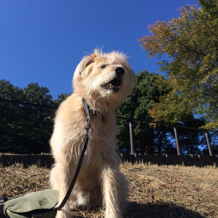 99174a60 c8d6 4144 984c 02033409ec59