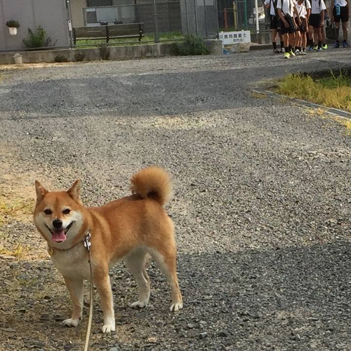 9917a1ae 88ae 4ac8 89ed 128dab1e3d32