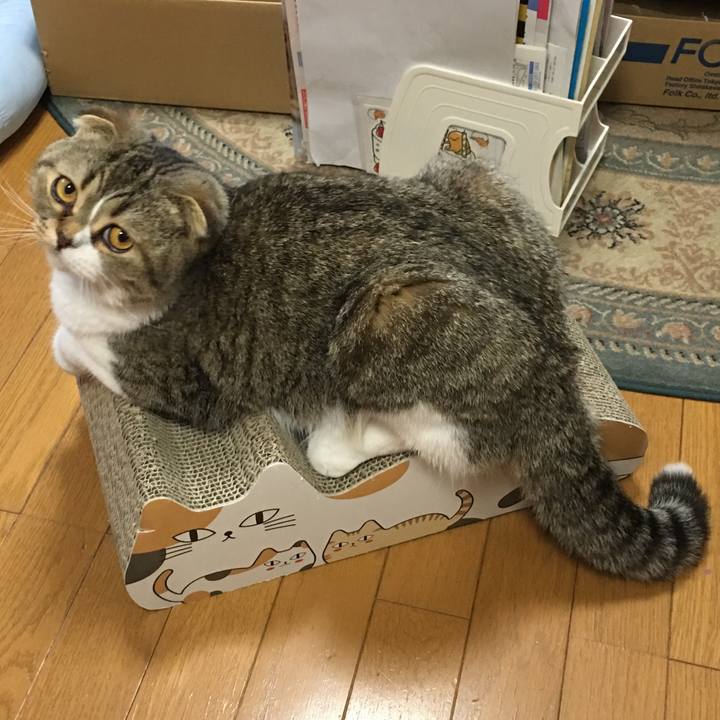 9917a27f 3461 457f 808e ed92a32918c1