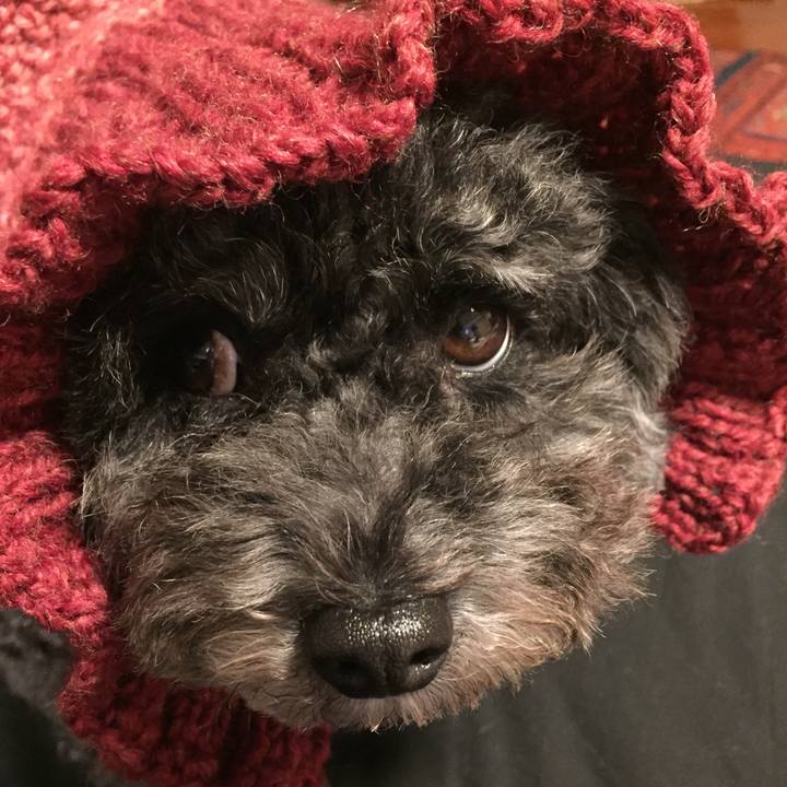 9919491e f6ef 4495 8473 cd0f31c8c1e0