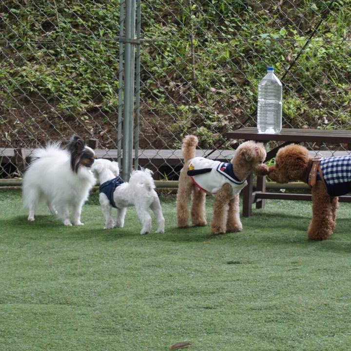 9919c605 38ac 4312 b288 eeca48648f5b