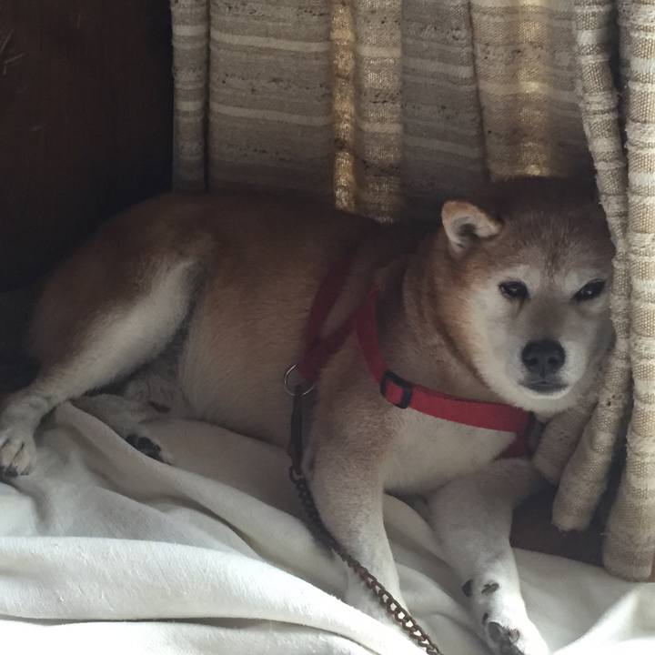 991a2473 35a9 44d6 8948 3a5e8e2cf1da