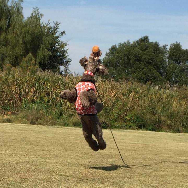 991a8148 029d 496f 99e2 c53e47578eac