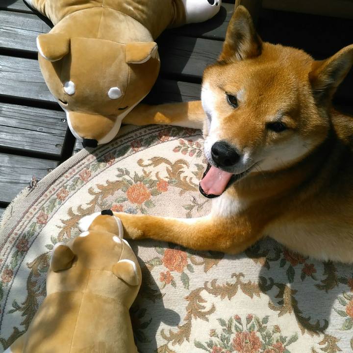 991a9f19 0e23 409f aa1e 6c464098c168