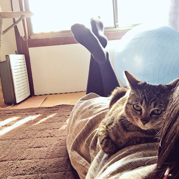 991aa7a0 0a98 4524 80aa a25a22dea5ee