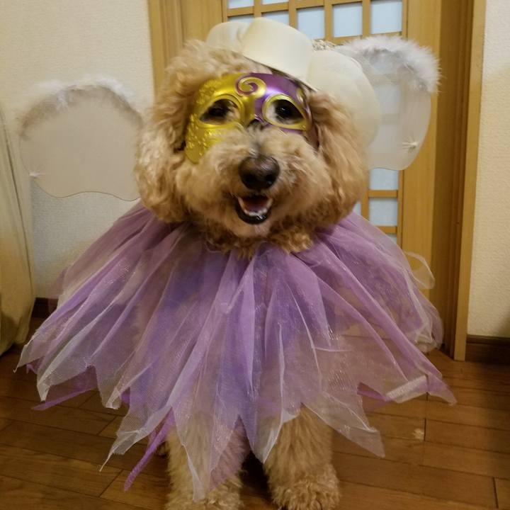 991aceef 7c2b 4ad7 9bfb 016b8d274146