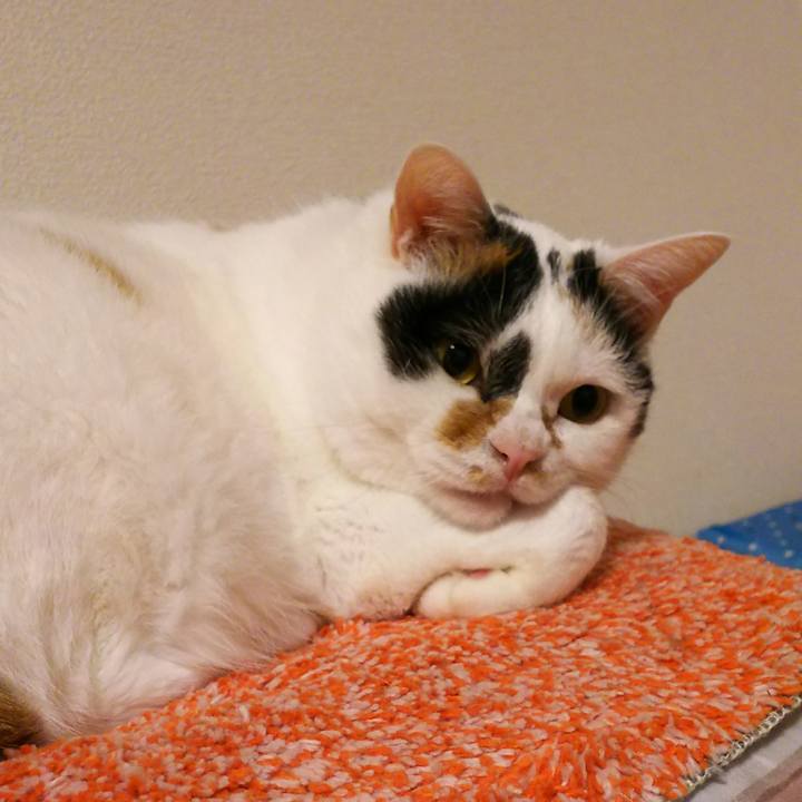 991aff0f 8c15 4cb0 84e6 3408cfb4e3e6