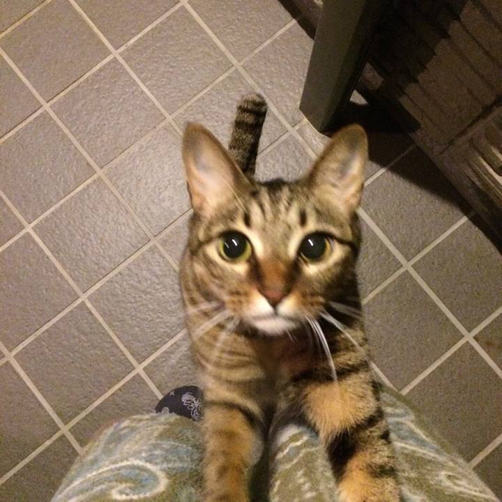 991be91a 414a 42bb 99d1 3a34bc945a8a