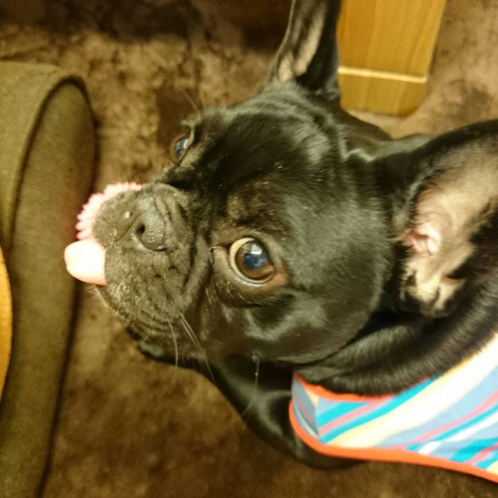 991c5485 b560 4278 8ee6 d172d33f63f9