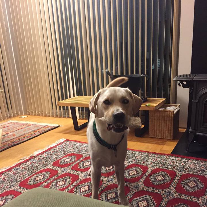 991d1682 edbf 48b4 9489 bf5e1d011067