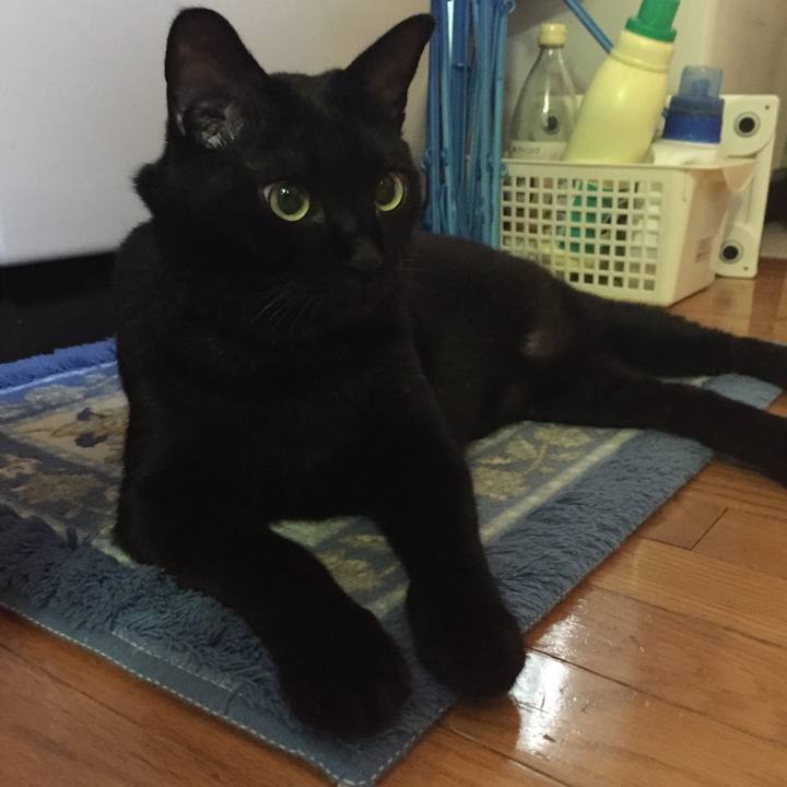 991d2427 8753 455e 86bd d3b358d5cd96