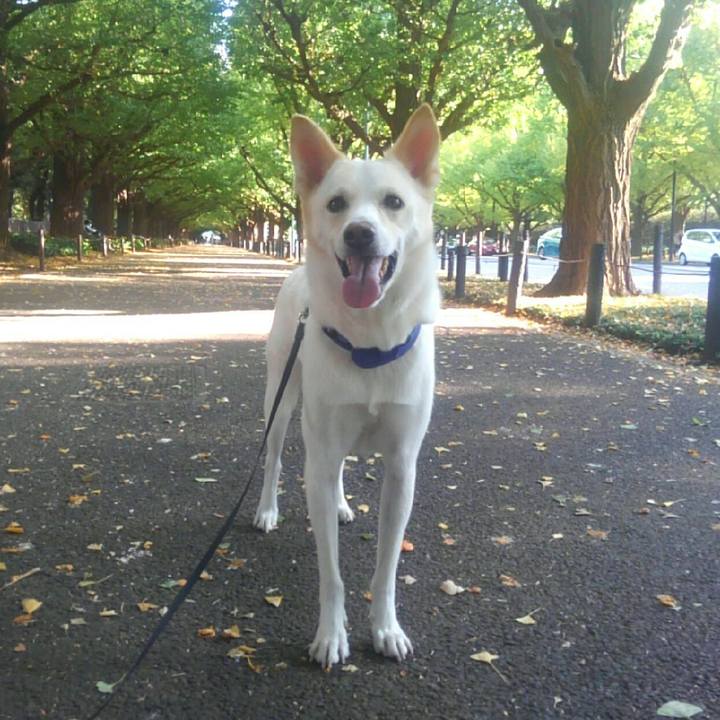 991d25f9 8d38 44bf adda b4e500414a12