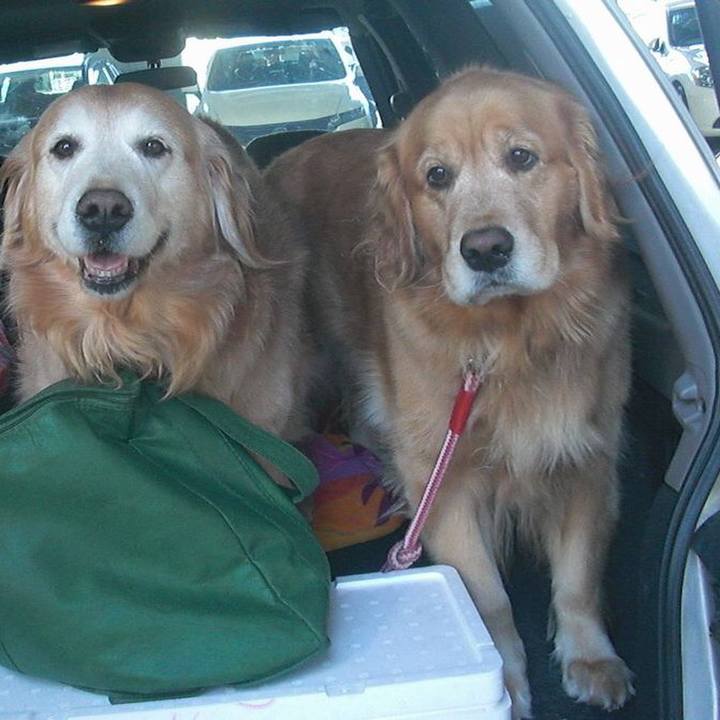 991d582f e5b4 4377 8a33 f7df78e71899