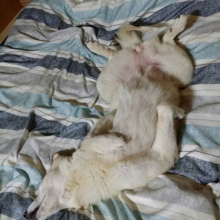 991da38a 227c 476a 946f cc6519b75f18