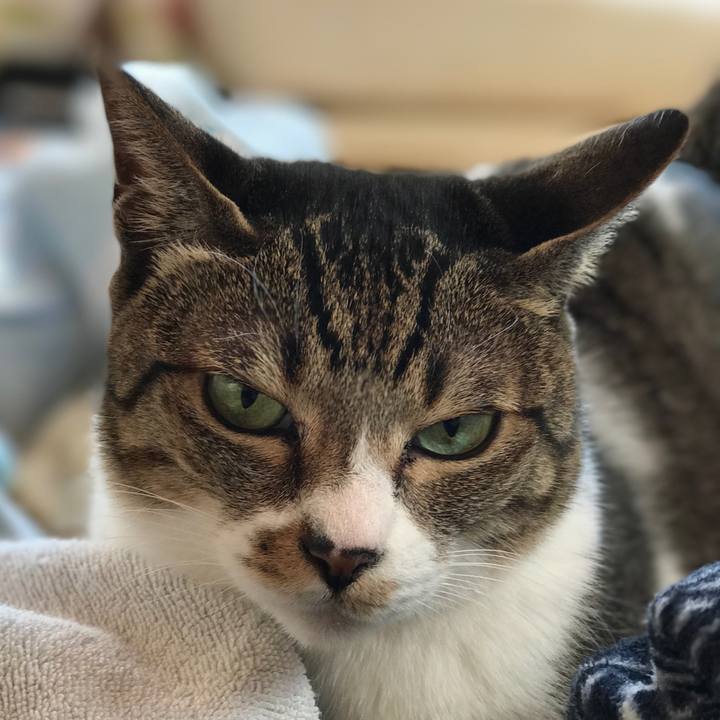 991e2ce5 95f3 48e8 9132 f11f74b538da