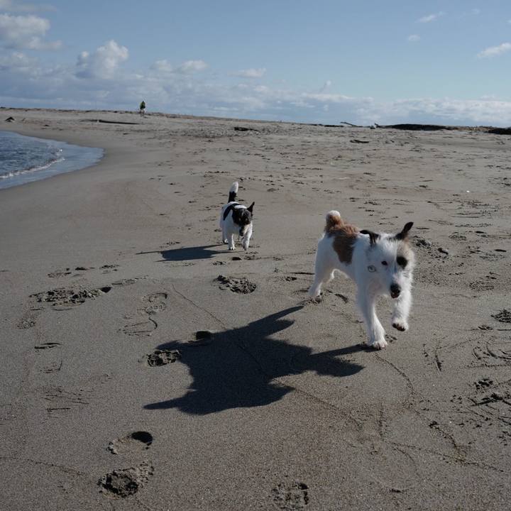 991ec857 69c2 4339 86b4 efd9306b7acc