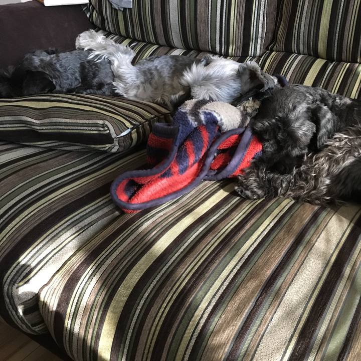 991f4d04 bfea 4dac 9633 b378e30bcff2