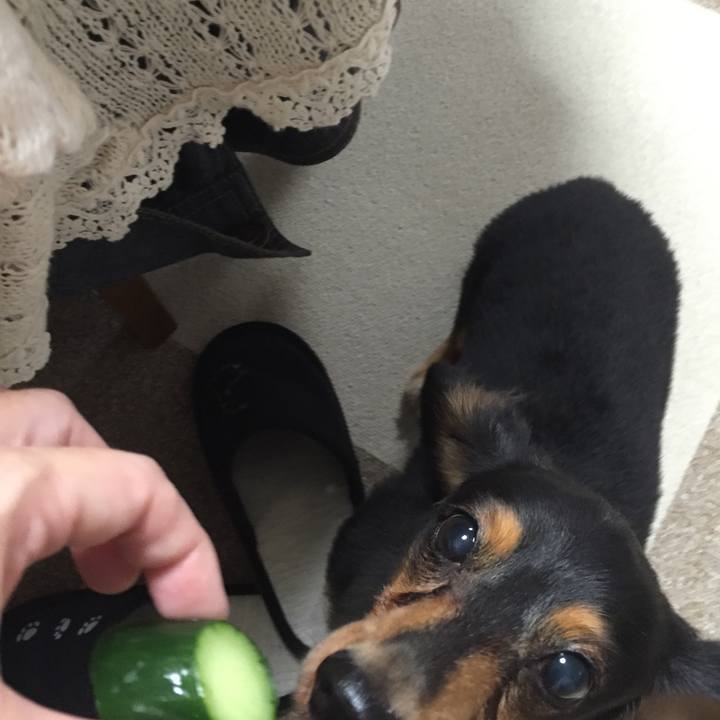 991faca0 1ff6 4145 81fc ca3d5d0f8631