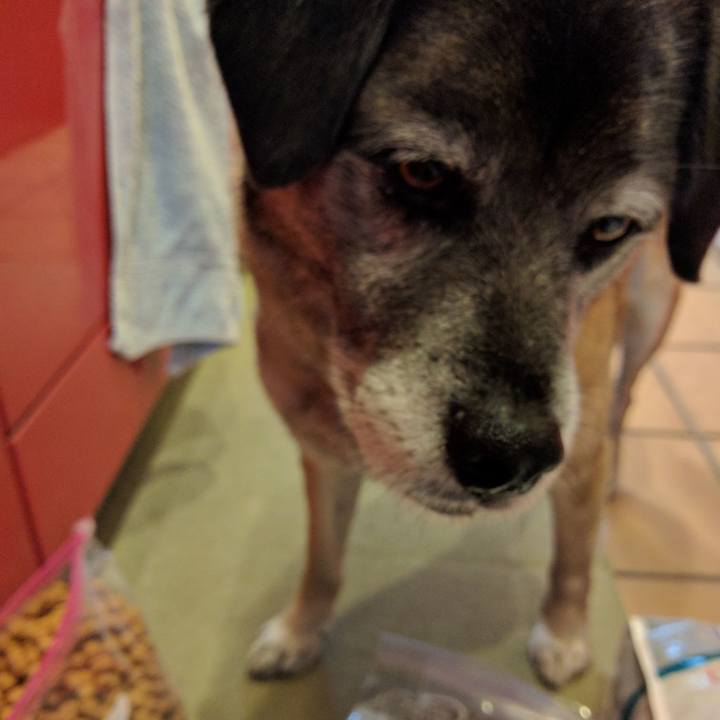 992051d3 ea3e 4627 84ad 1d4e87fdf2bd