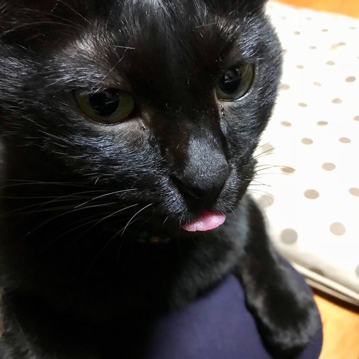 99208c16 d8e5 469a 8773 ac166df8e155