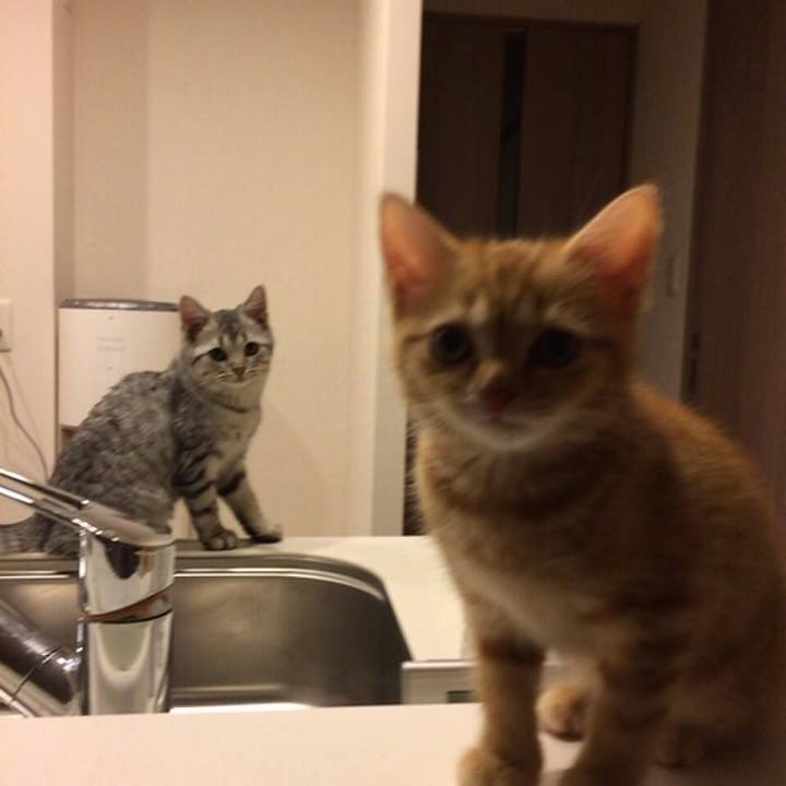 9920c01d 5692 4f93 a24c b4ffb4b76faa