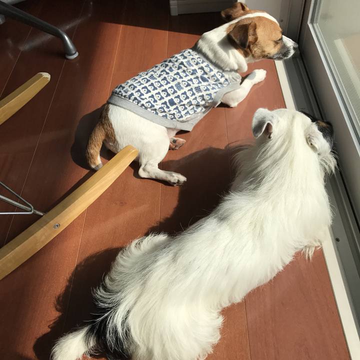 9920feb8 bb35 4e51 b544 ccdfccf185d1