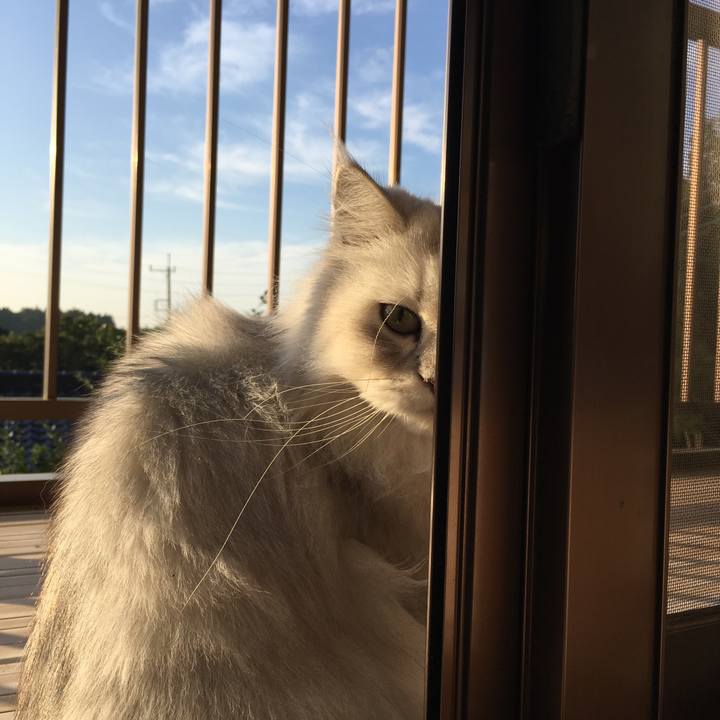 992107ea 0eac 4288 8b50 58d4c90e974d