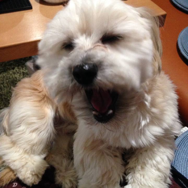 9921acfe a561 4133 a1d3 140ca7fc9449