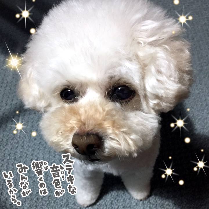 99234392 b1e2 46b3 ab39 f1ceefab36db