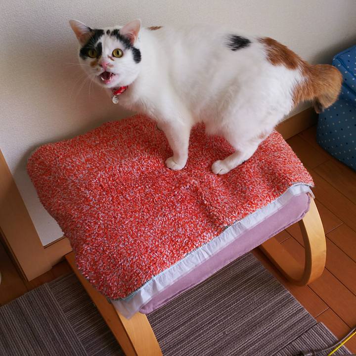 9923b8d8 9aba 405c a956 0df02efc2373