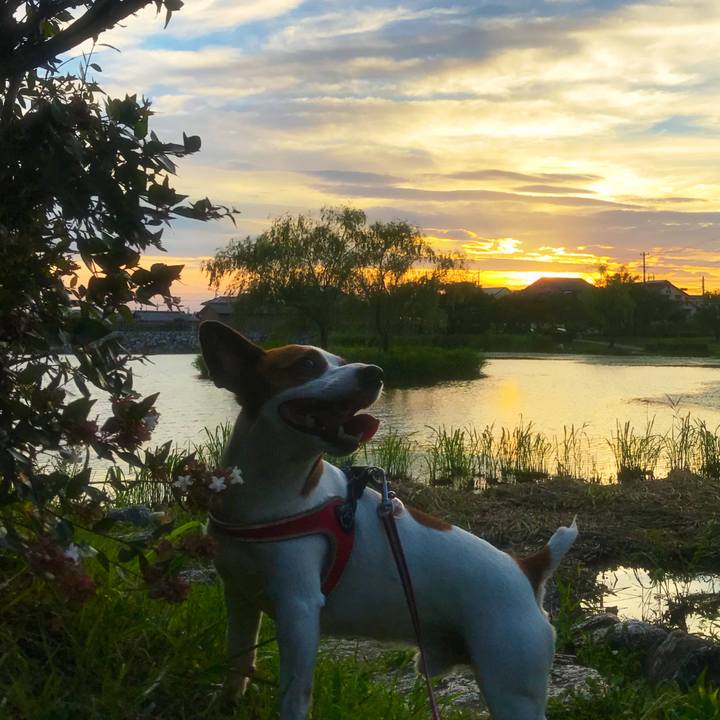 9923d1ad 6b8f 439f 9ae8 4be8e99cb3b1