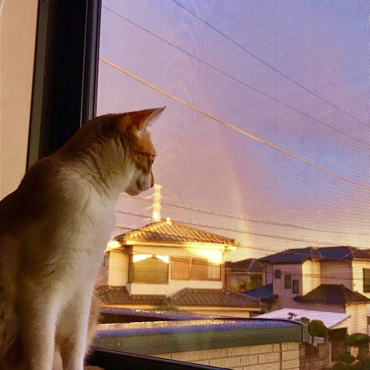 9923ddd0 4cc4 4c41 a13e 8535cb147faf