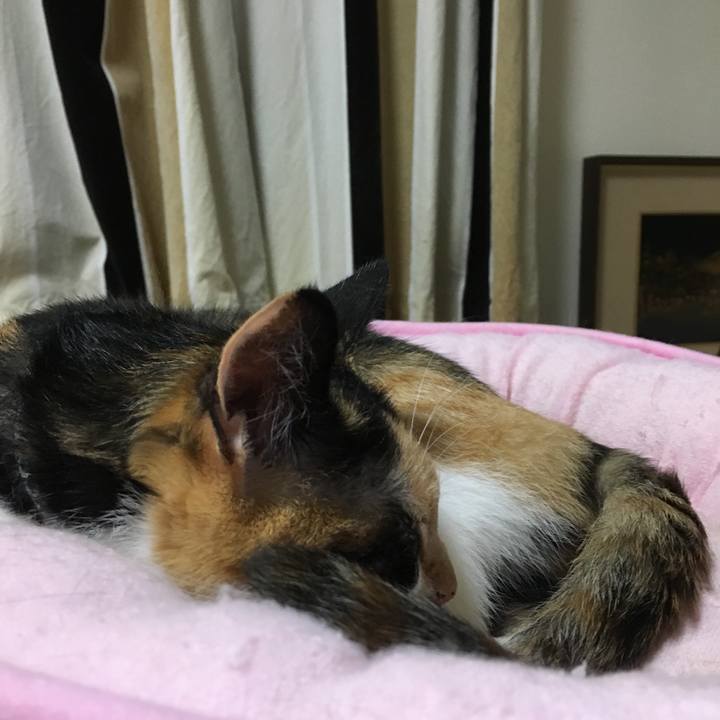 992467c0 a966 4245 b467 e42ad77f1d73