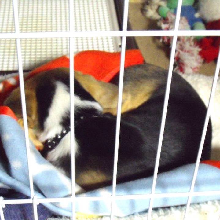 9924ba8d f4f0 401a a825 bfd38bdc7547