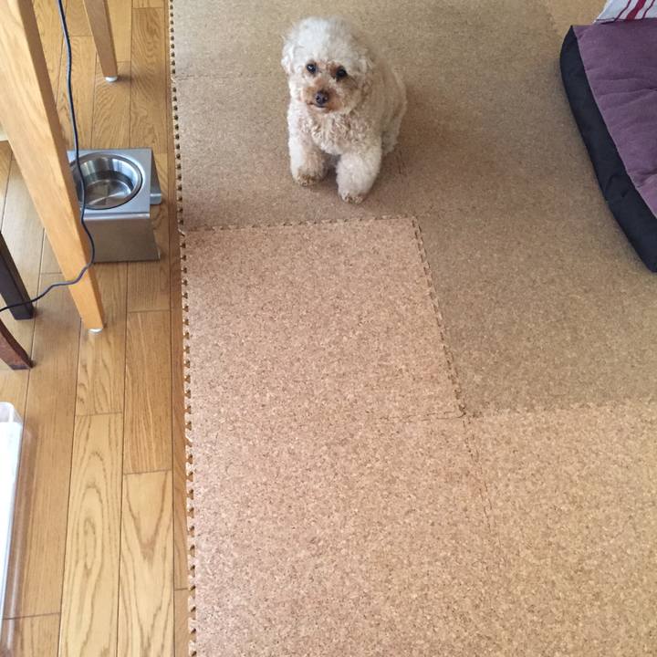 9925014f d643 4554 a37c db29734db93f