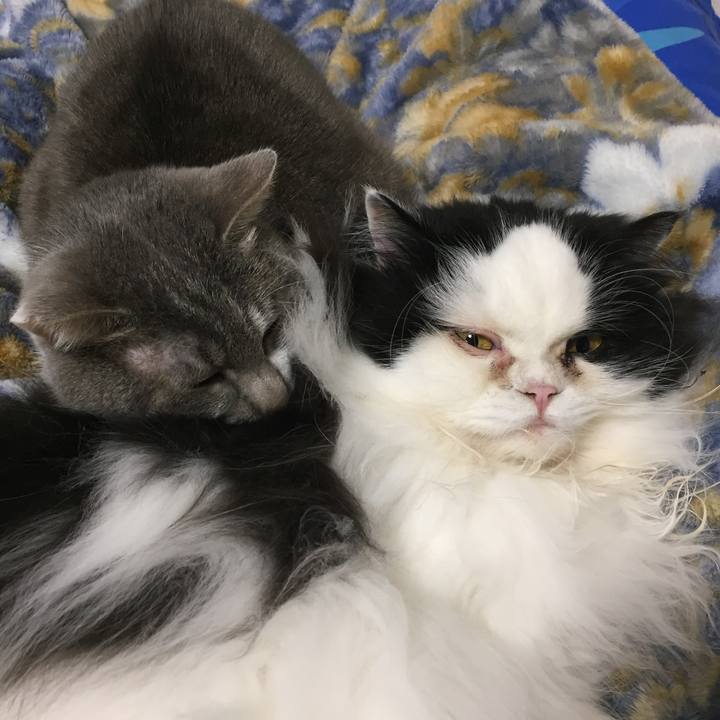 99253c6f 0853 4165 87d2 db7b7426d747