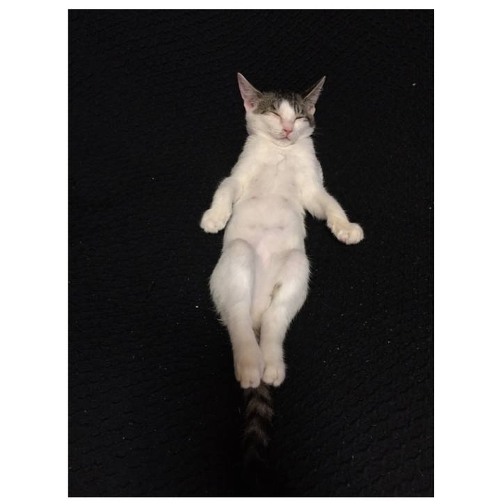 992764b0 ee94 4f1b 81f7 f196a5d02d8a