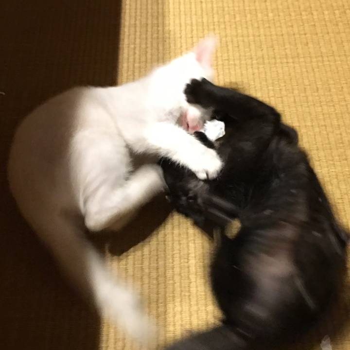 9927ad24 60b7 4e6a 9c6b 0c67da27bf2b