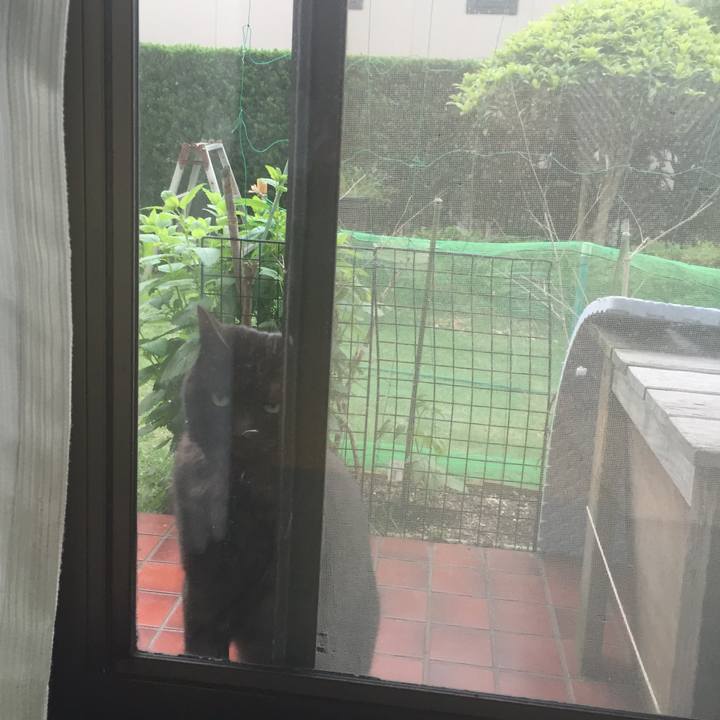 9927e7dd 209c 4df1 a2f3 8cf5f4a2f0f2