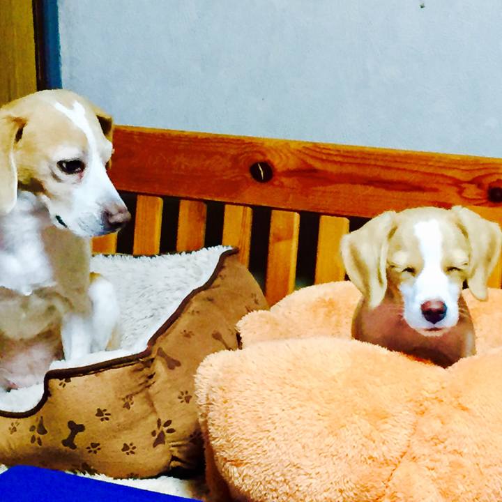 99281cdd 0cdb 4b01 9508 2cafb52ddc64