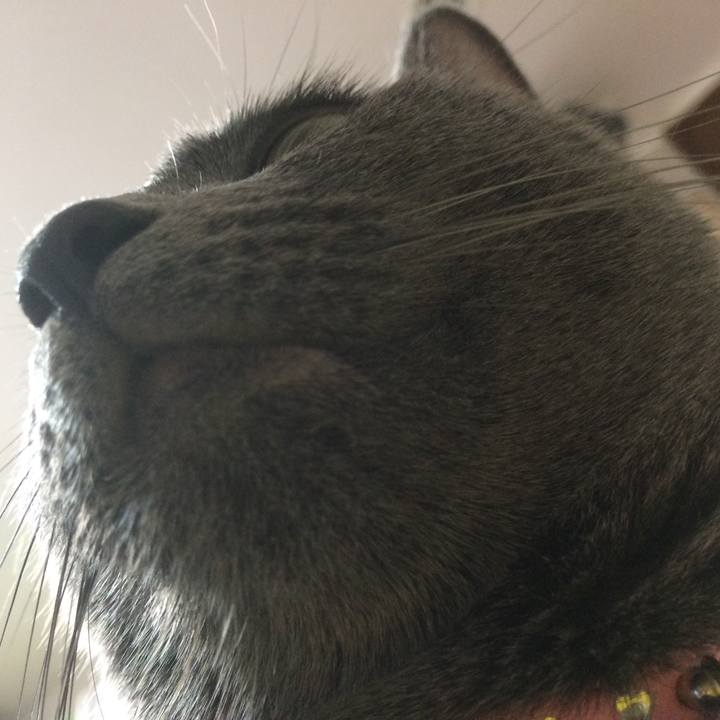 99283ed5 2f73 4734 be34 2858d89a1024