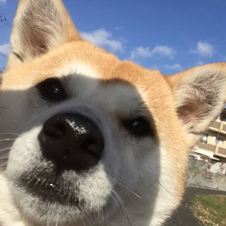 9928bdb0 819c 404e 9652 f3452312f7ae