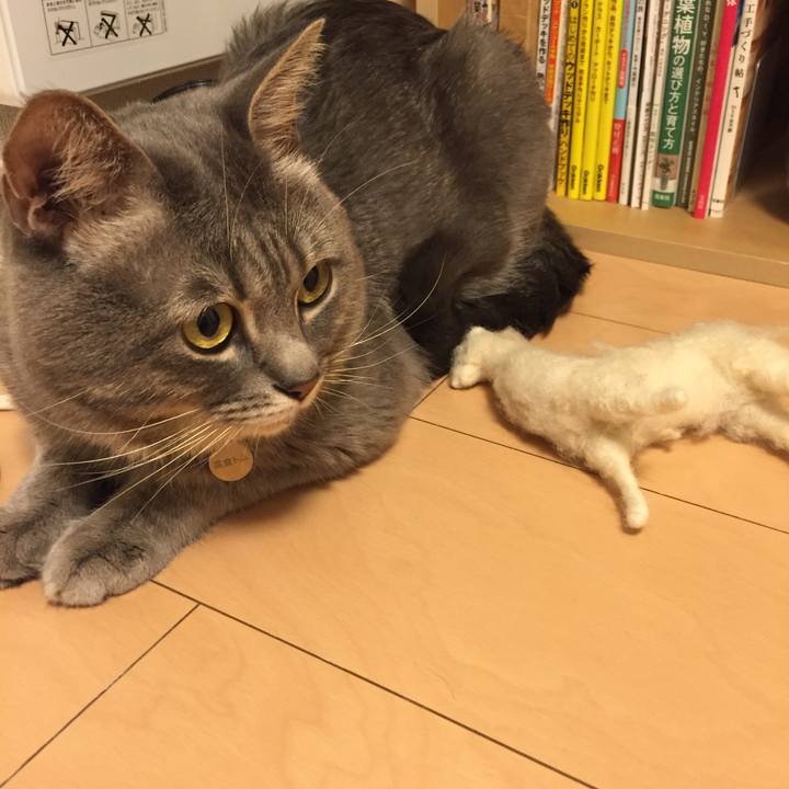 992909d0 b77f 4a49 b383 334a0ae6200b