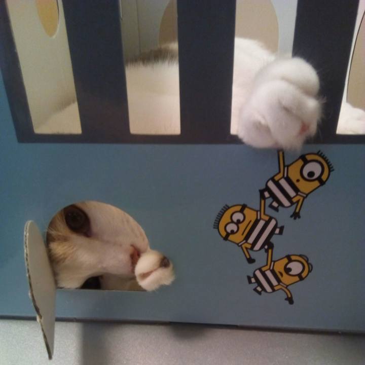 992963b1 00e9 45a9 aad3 3707053f3563