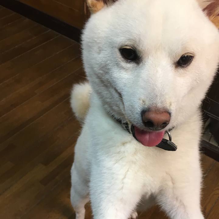 99296a46 5b5e 484d bf8d 7e89f1050c2d