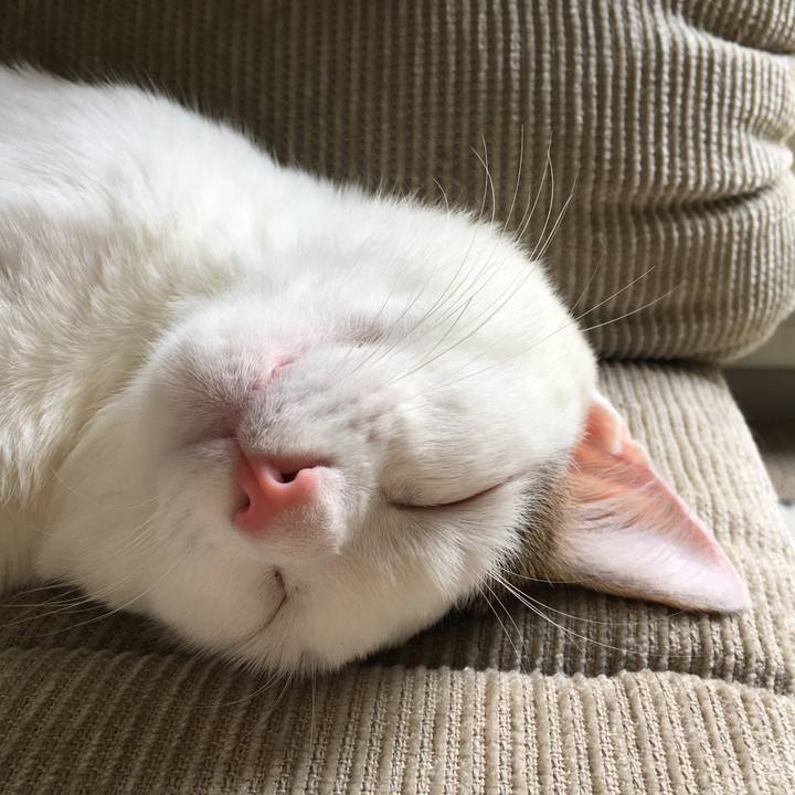 992a0556 7ec7 4140 b497 c35fbcc2c9ec