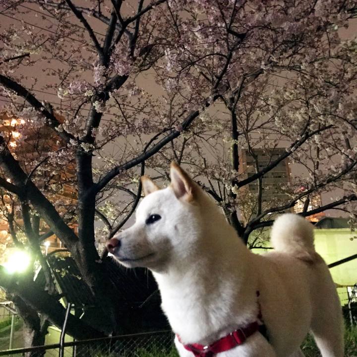 992ab899 23cd 4aa6 9f75 dcb4a5b35c3a