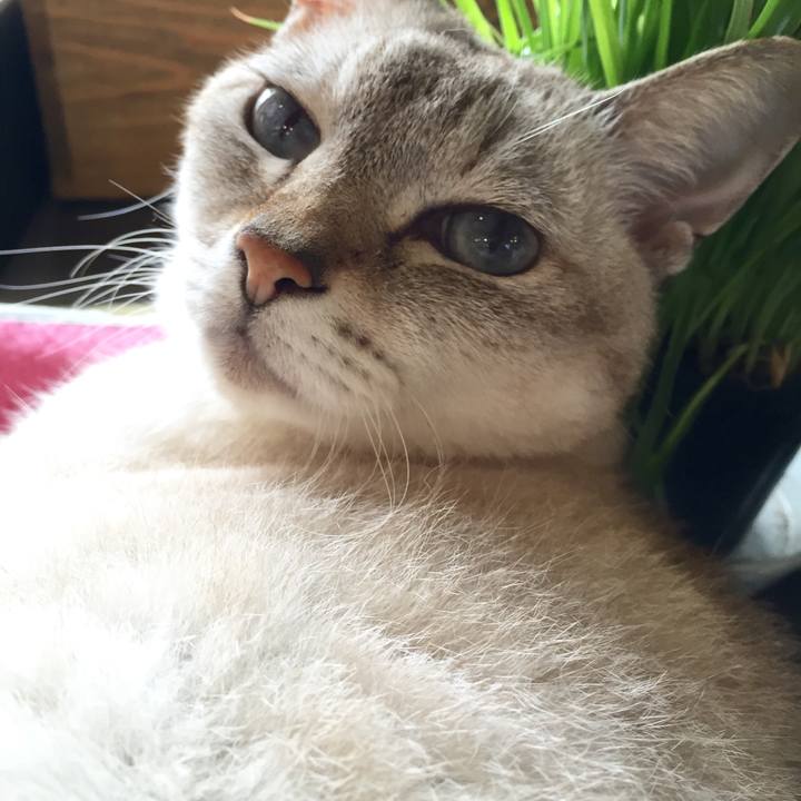 992b45f4 dc53 45b2 8fc5 b293e1aca769